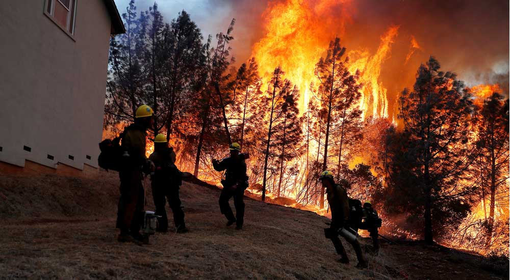 Trainer Training on Level 2 Fires