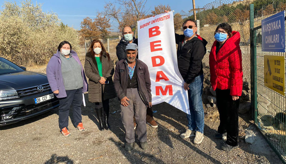 B.U. donated 1 ton of food to 500 stray dogs