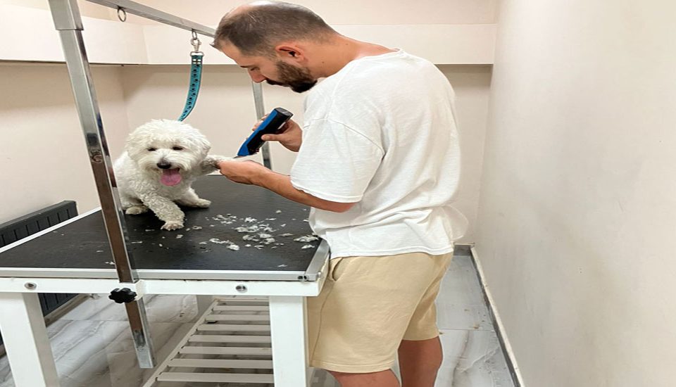 Our Level-1 Pet Hairdresser Training Has Been Completed.