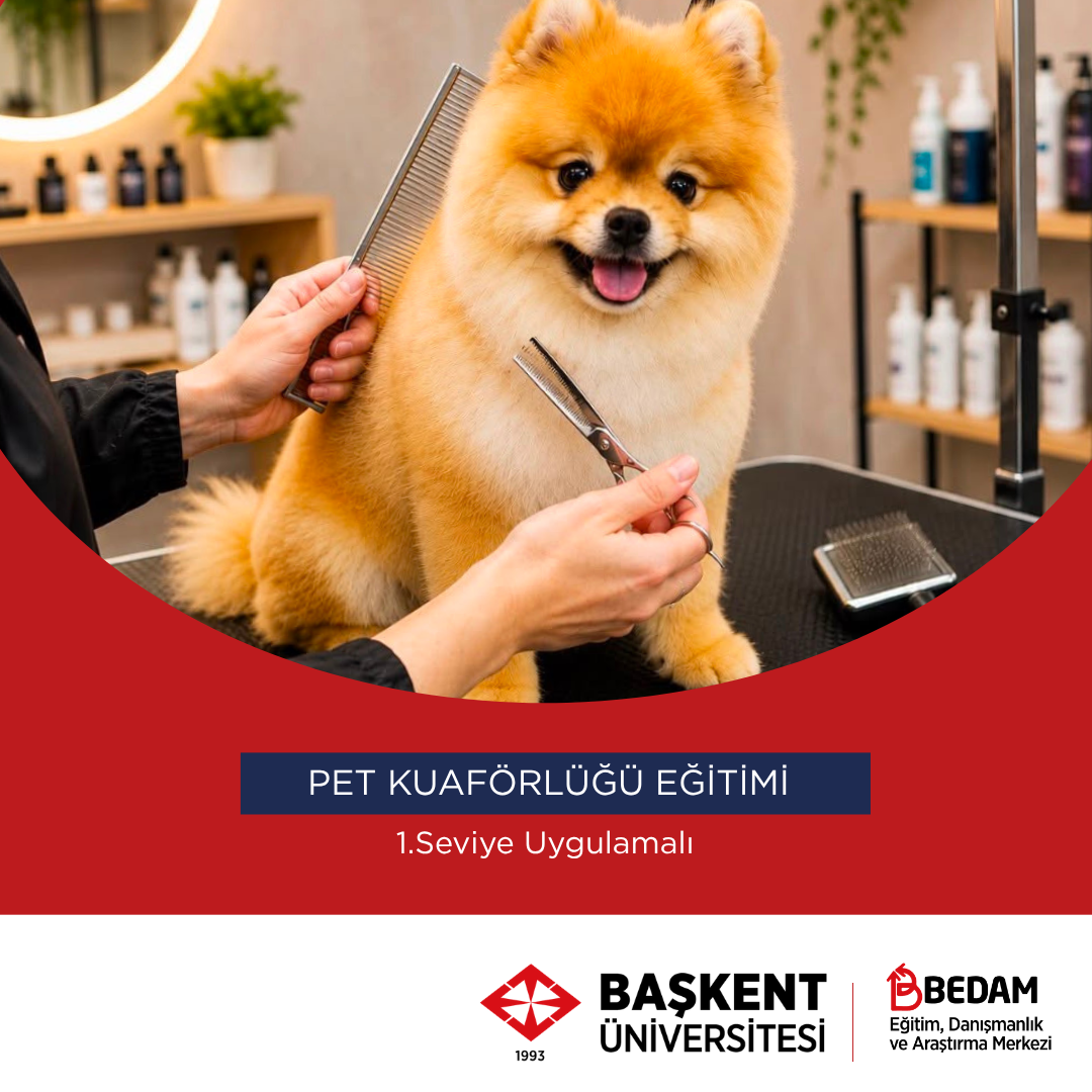 1. Seviye Pet Kuaförlüğü Eğitimi