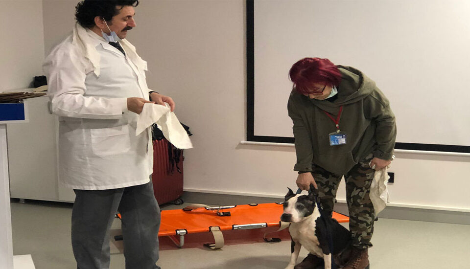 İstanbul’da Yapılan “Uygulamalı Evcil Hayvanlarda İlk Yardım Eğitimi” Tamamlandı.