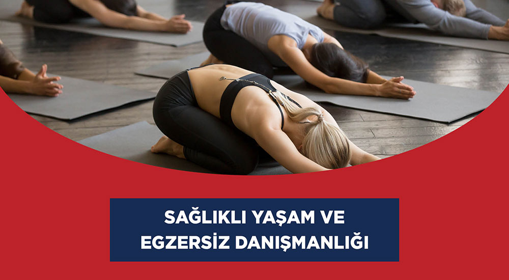 Sağlıklı Yaşam ve Egzersiz Danışmanlığı (1 seans) (Ankara)
