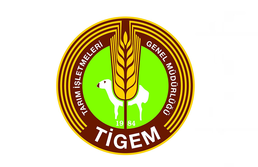 tigem-logo